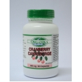 Extract concentrat de Cranberry - eficient in tratarea infectiilor urinare